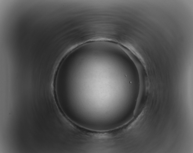 X0000089681189200706281352