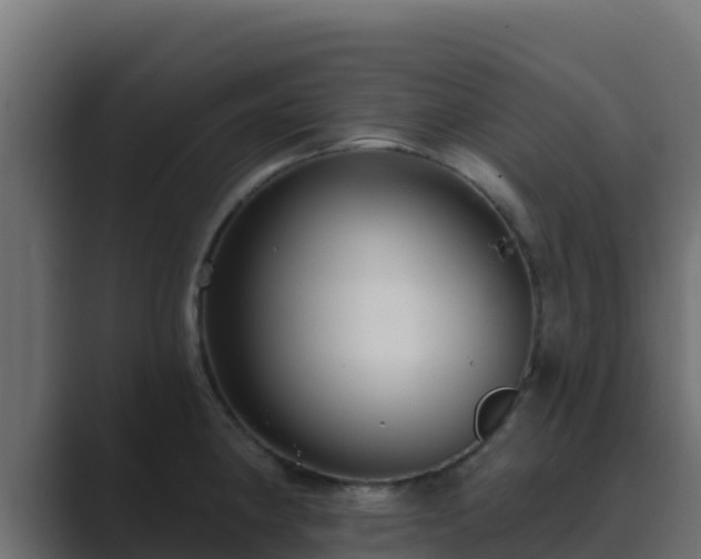 X0000089681190200706281352