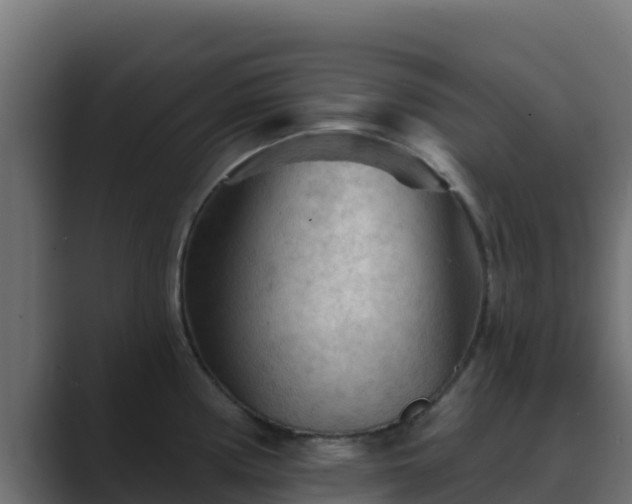 X0000089681194200706281352