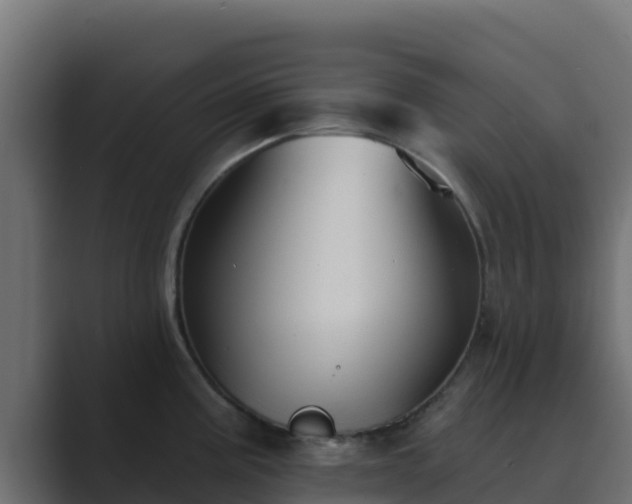 X0000089681195200706281352