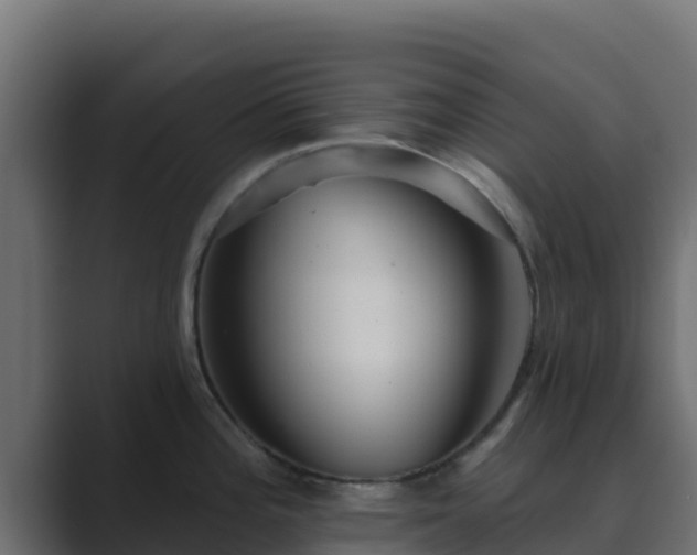 X0000089681196200706281352