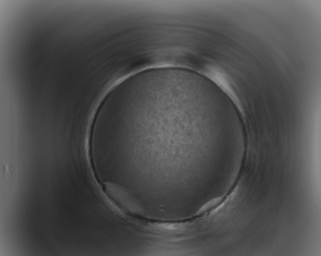 X0000089681197200706281352