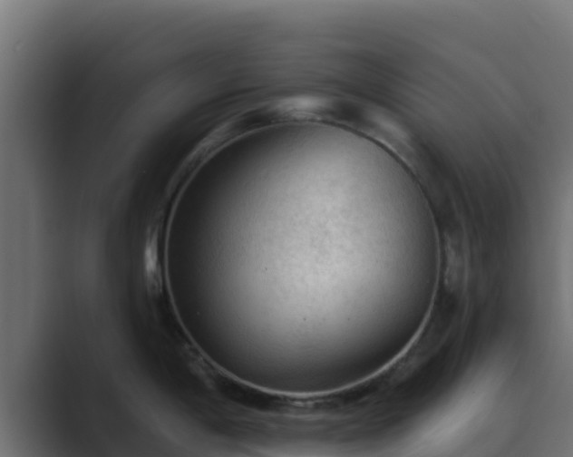 X0000089681198200706281352