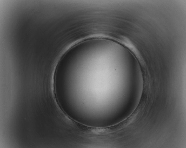 X0000089681199200706281352