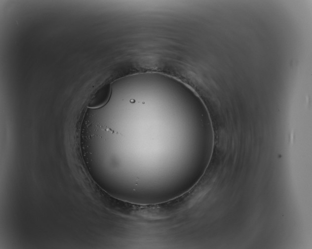 X0000089681201200706281351