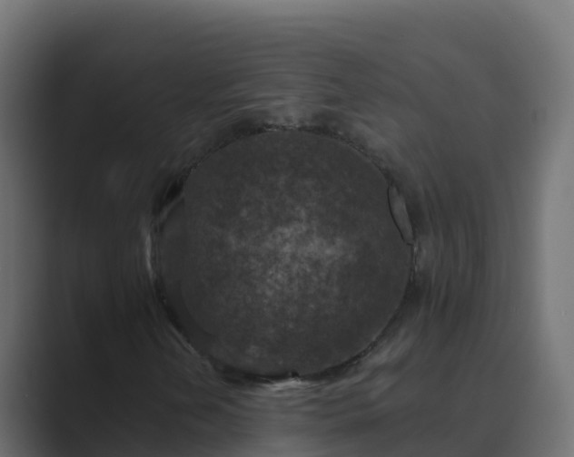 X0000089681202200706281351
