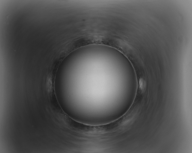 X0000089681203200706281351