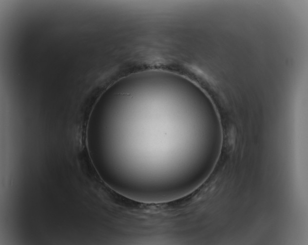 X0000089681205200706281351