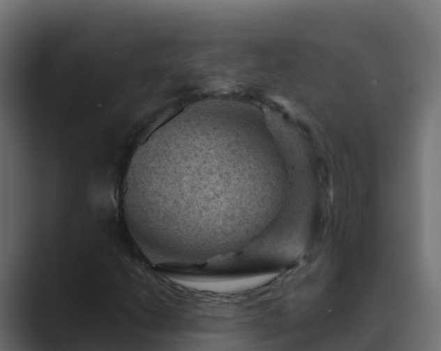 X0000089681206200706281351