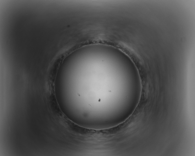 X0000089681207200706281351