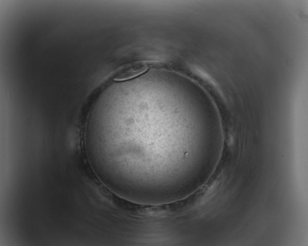 X0000089681208200706281351