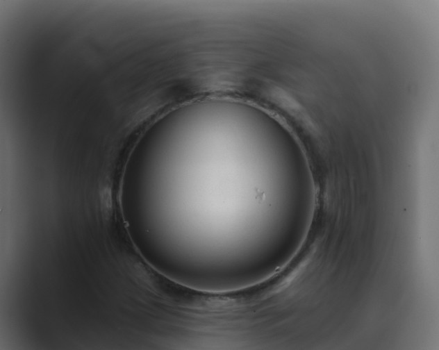 X0000089681209200706281351