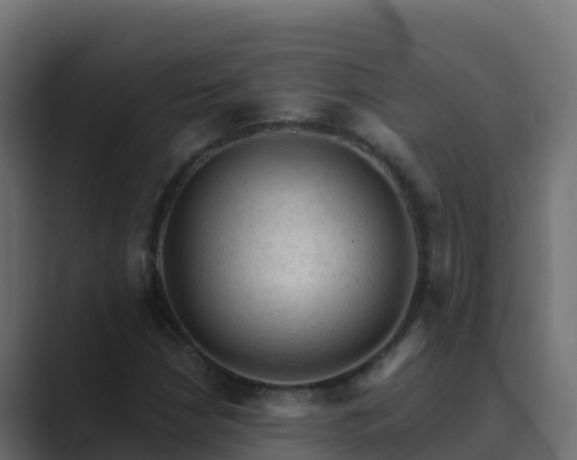 X0000089681210200706281351