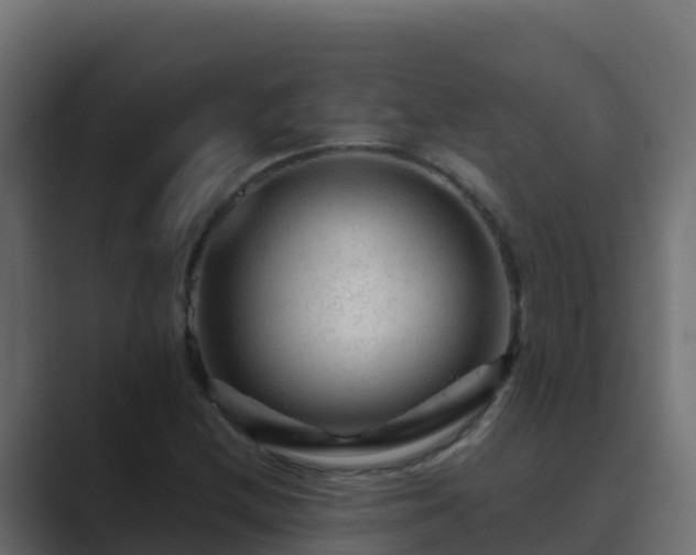 X0000089681212200706281351
