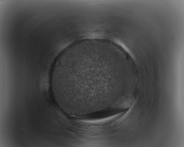 X0000089681213200706281351