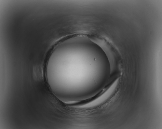 X0000089681214200706281351