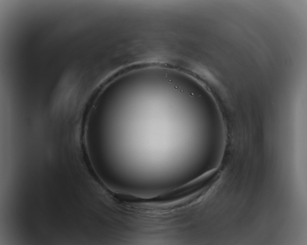 X0000089681216200706281351