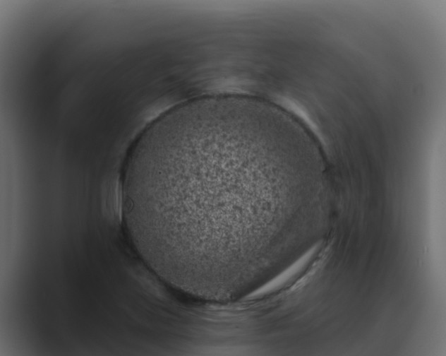 X0000089681219200706281351