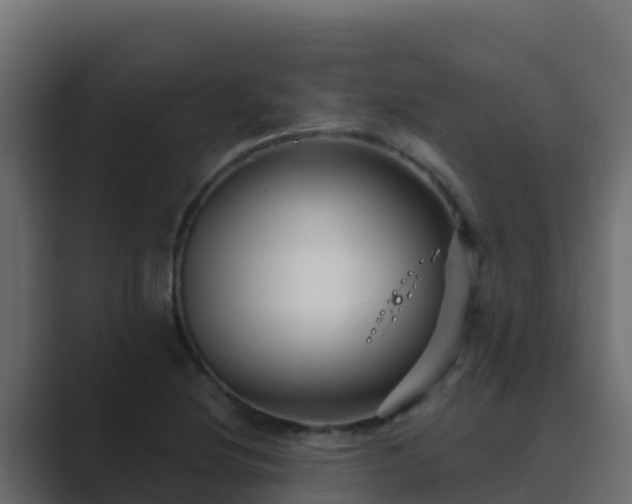 X0000089681220200706281351