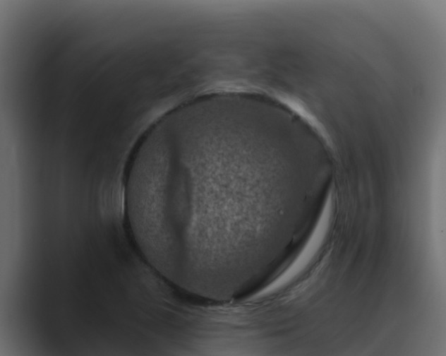 X0000089681221200706281351