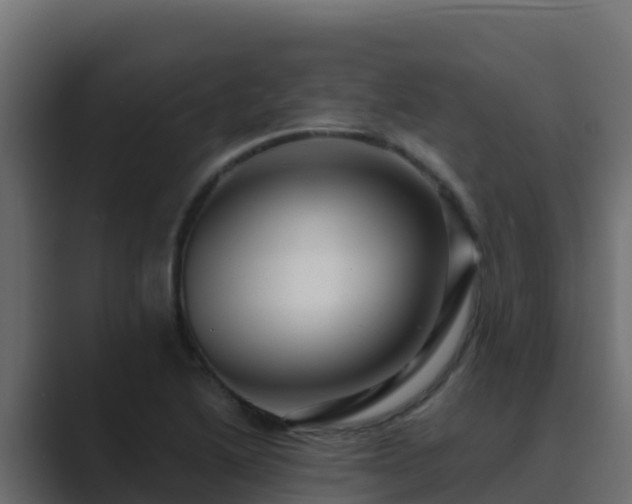 X0000089681222200706281351