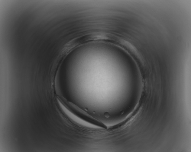 X0000089681225200706281352