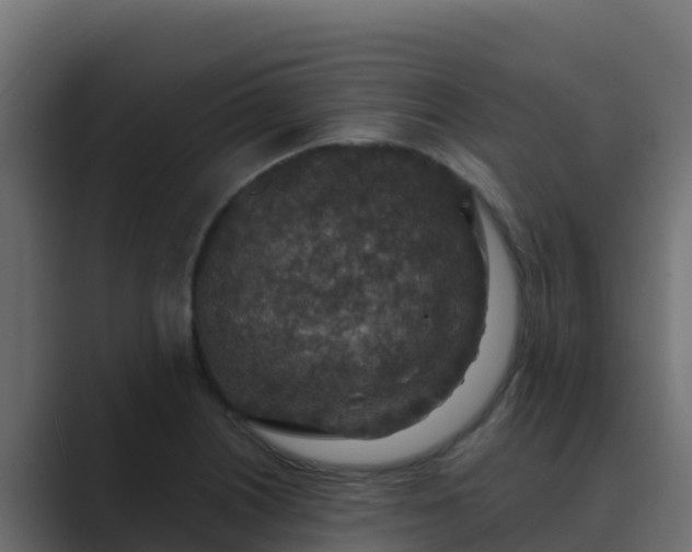 X0000089681226200706281352