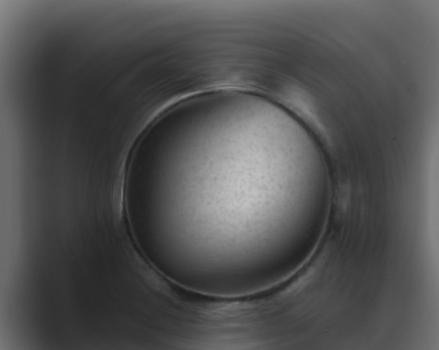 X0000089681228200706281352