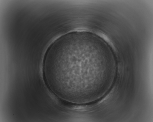 X0000089681229200706281352