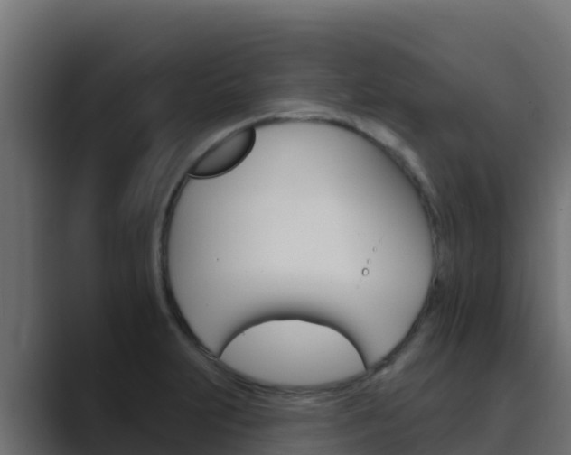 X0000089681231200706281352