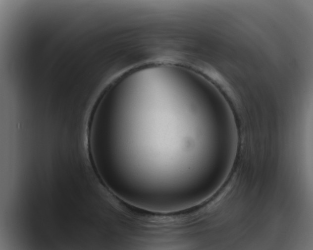 X0000089681232200706281352