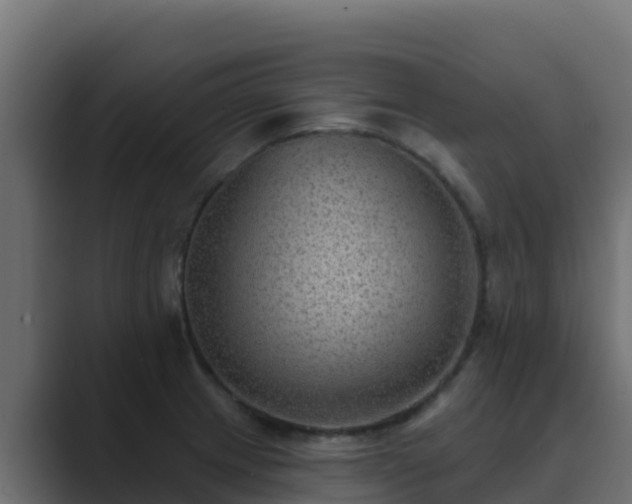 X0000089681233200706281352