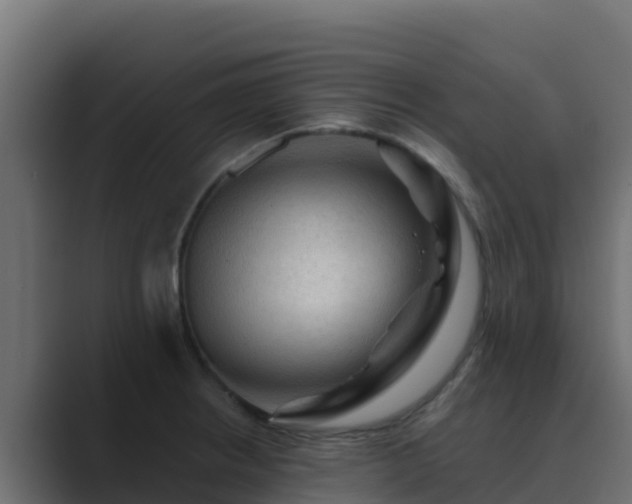 X0000089681234200706281352