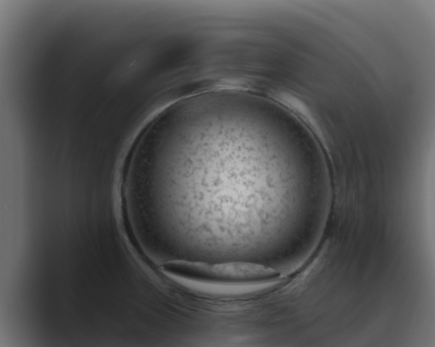 X0000089681235200706281352