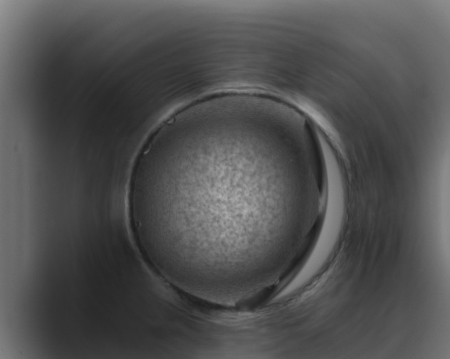 X0000089681237200706281352