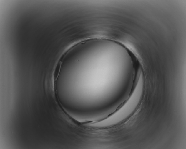 X0000089681238200706281352