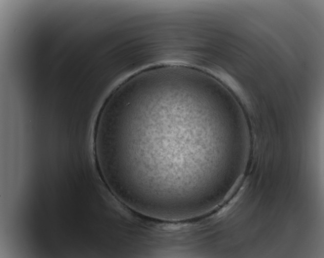 X0000089681240200706281352