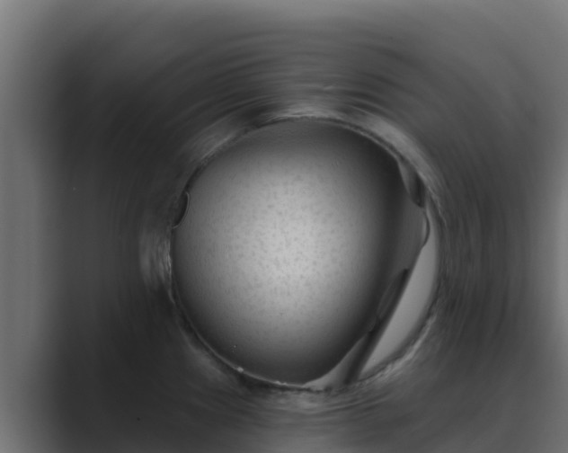 X0000089681241200706281352
