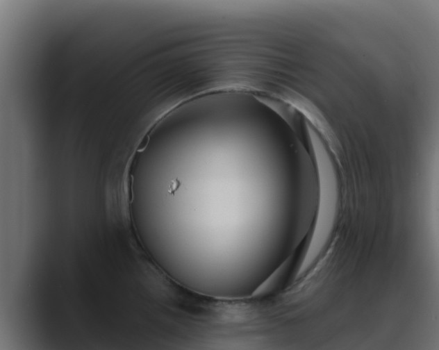 X0000089681242200706281352