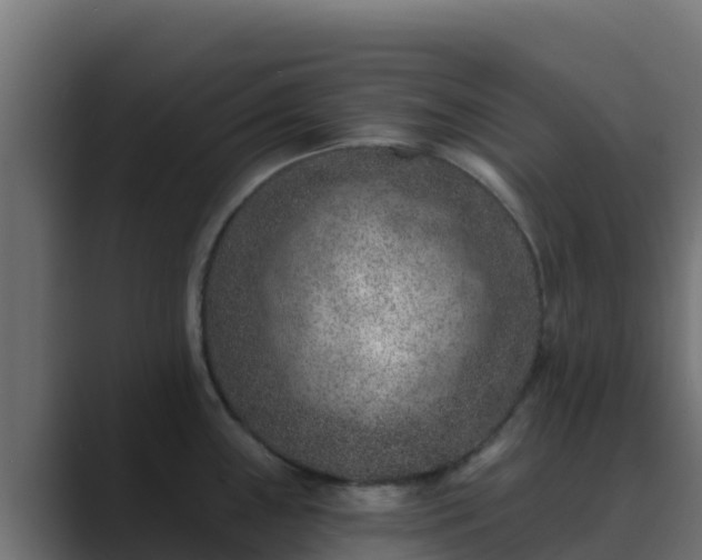 X0000089681243200706281352