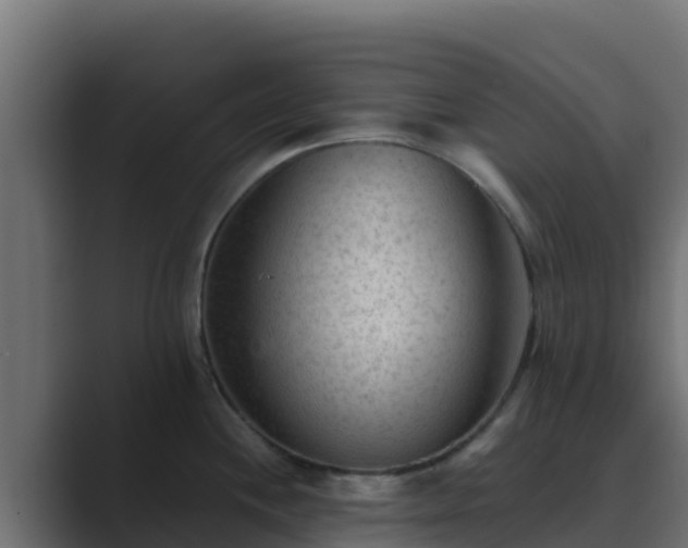 X0000089681244200706281352