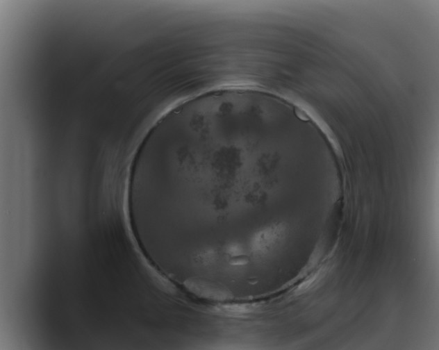 X0000089681245200706281352