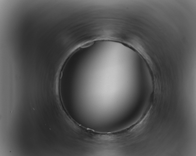 X0000089681246200706281352