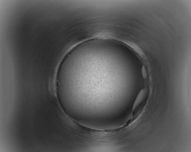 X0000089681248200706281352