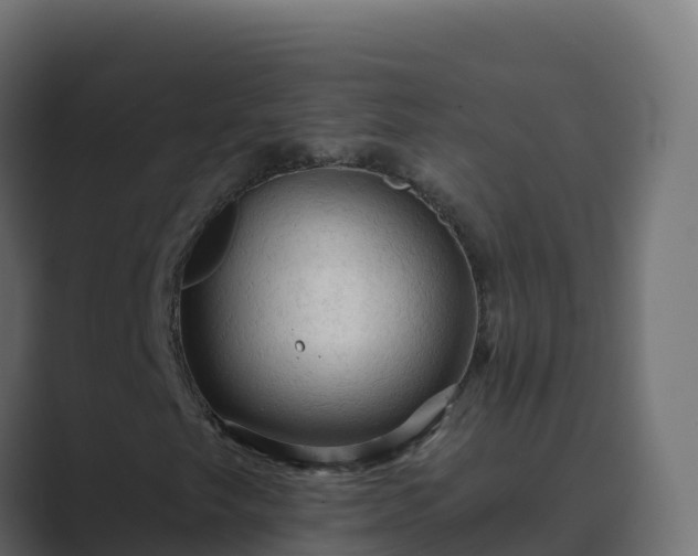 X0000089681249200706281351