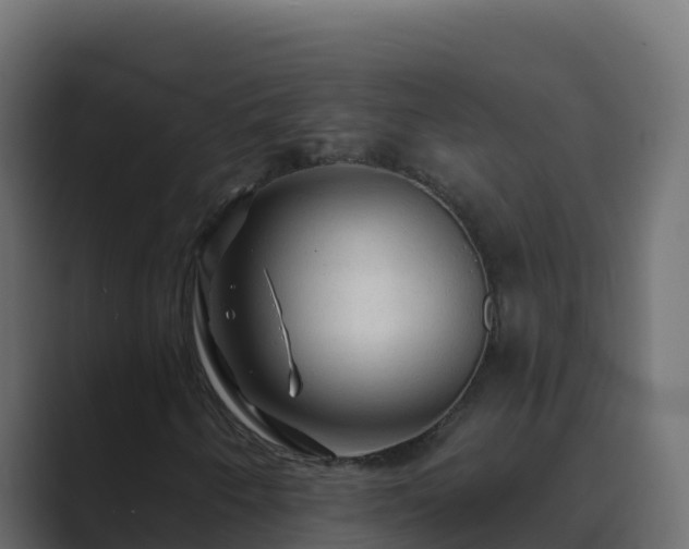 X0000089681250200706281351