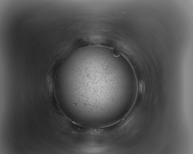 X0000089681251200706281351