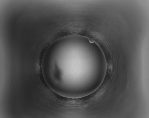 X0000089681252200706281351