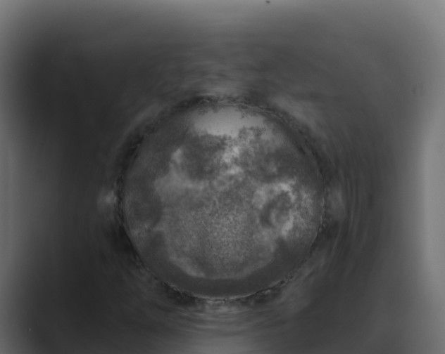 X0000089681254200706281351
