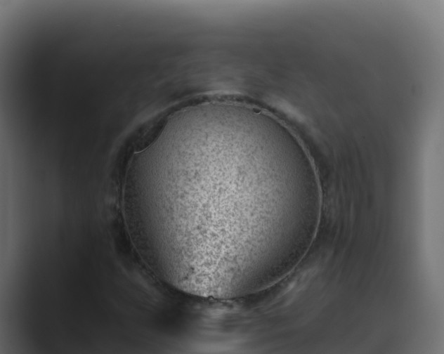 X0000089681255200706281351